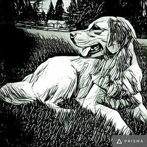 Meet your Posher, Randall